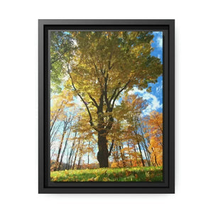 Black Frame Wall Decor - Modern Matte Canvas Prints | Dipaliz