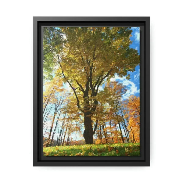 Black Frame Wall Decor - Modern Matte Canvas Prints | Dipaliz