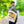 Vintage Car Tote Bag Black Cotton Handles - Dipaliz - Bags