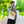 Vintage Car Tote Bag Black Cotton Handles - Dipaliz - Bags