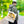 Vintage Car Tote Bag Black Cotton Handles - Dipaliz - Bags