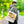 Vintage Car Tote Bag Black Cotton Handles - Dipaliz - Bags