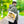 Vintage Car Tote Bag Black Cotton Handles - Dipaliz - Bags