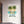 Matte Poster — 