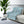 Daisy Meadow Sherpa Blanket — Soft Floral Fleece Throw