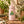 Pink Mini Water Bottle with Cute Frog 