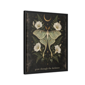 Framed canvas wall art luna moth “grow through the darkness” botanical decor - printable