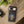 Personalized Frog on Mushroom Tough Phone Case