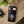 Personalized Frog on Mushroom Tough Phone Case