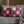 Kawaii Pink Blossom Pillowcase — Cute Floral Decorative Throw Pillow