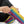Colorful Rainbow Stripe Cats Sublimation Socks