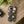 Mystic Night Floral Phone Case — Moon, Moths & Mushroom Pattern Tough Case