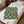 Rubber Duck Swim Velveteen Plush Blanket — Cozy Baby & Kids Throw
