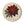 Poinsettia Ceramic Coaster — 