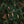 Luxury christmas wrapping paper – emerald green holiday gift wrap