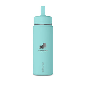 Detail of the drifting otter artwork on a DipaliZ hydration bottle