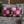 Kawaii Pink Blossom Pillowcase — Cute Floral Decorative Throw Pillow