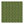 DipaliZ green paisley print running edge to edge across the 60 inch fabric width