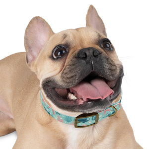 Sea Life Dog Collar — Aqua Fish & Coral Pattern for Pets