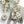 Holiday Holly Wrapping Paper Roll — Vintage Green & Red Mistletoe Pattern