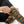 Autumn Patchwork Fox Socks — Cute Fall Animal Sublimation Crew Socks