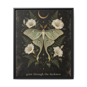 Framed canvas wall art luna moth “grow through the darkness” botanical decor - printable