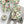 Holiday Holly Wrapping Paper Roll — Vintage Green & Red Mistletoe Pattern