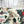 Festive Botanical Christmas Wrapping Paper