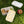 Kawaii Animal Faces Bento Box – Cute Panda, Cat & Bunny Lunchbox