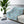 Daisy Meadow Sherpa Blanket — Soft Floral Fleece Throw