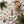 Christmas coastal ornaments ceramic coaster - coasters