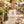 Personalized, Embroidered 'Cheers to New Beginnings' Floral Tote