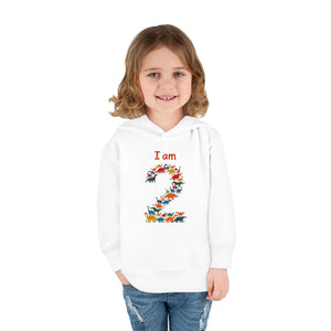 Cozy i am 2 Toddler Fleece Hoodie - Birthday Gift - Dipaliz - Sweatshirts