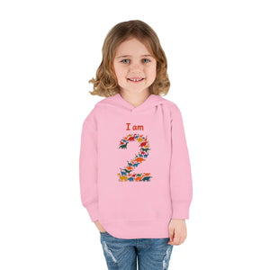Cozy i am 2 Toddler Fleece Hoodie - Birthday Gift - Dipaliz - Sweatshirts