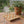 Small pumpkins and leafy sprigs in rust on a DipaliZ cotton tablecloth