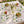 DipaliZ smiling cabbage and snail napkin set, four 18 inch cloth squares