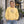 Floral botanical sweatshirt - sweatshirts