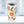 Citrus Orange Stainless Steel Tumbler - Tropical 20oz - Dipaliz - Tumblers