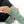 Frog Pond Pattern Socks — Cute Novelty Sublimation Crew Socks
