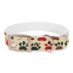 Paw Print Dog Collar — Colorful Red, Teal & Brown Paw Pattern