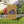 Independence Garden Flag – 1776-2026 Poly Canvas - Dipaliz - Banners