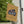 Independence Garden Flag – 1776-2026 Poly Canvas - Dipaliz - Banners