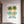Matte Poster — 
