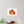 Autumn fox and pumpkins fall wall decal - decals