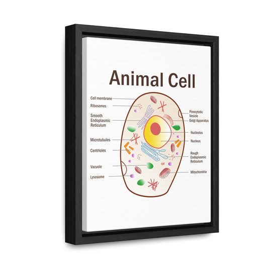 Animal cell diagram, Gallery Canvas Wraps, Vertical Frame