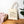 Plant Shelf Canvas Tote — 