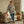Poinsettia All-Over Print Hoodie — Festive Floral Christmas Pullover