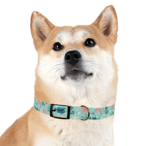 Sea Life Dog Collar — Aqua Fish & Coral Pattern for Pets