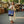 Festival of Lights Tote Bag — Diwali Fireworks Market & Celebration Tote