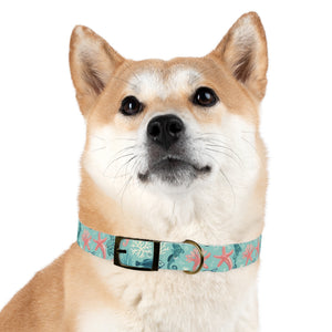 Sea Life Dog Collar — Aqua Fish & Coral Pattern for Pets